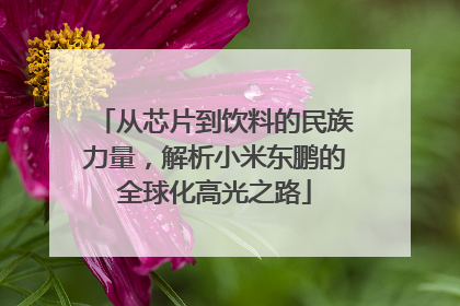 从芯片到饮料的民族力量，解析小米东鹏的全球化高光之路