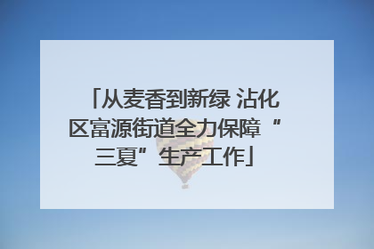 从麦香到新绿 沾化区富源街道全力保障“三夏”生产工作
