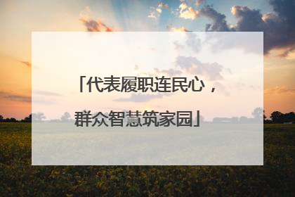 代表履职连民心，群众智慧筑家园