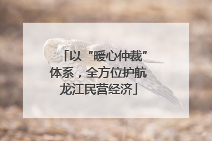 以“暖心仲裁”体系，全方位护航龙江民营经济