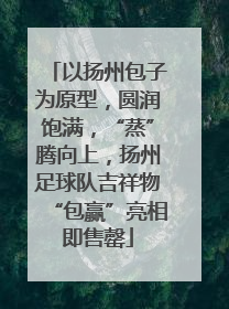 以扬州包子为原型，圆润饱满，“蒸”腾向上，扬州足球队吉祥物“包赢”亮相即售罄