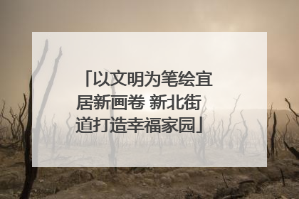 以文明为笔绘宜居新画卷 新北街道打造幸福家园
