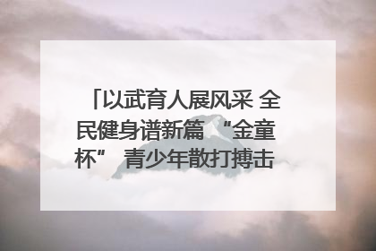 以武育人展风采 全民健身谱新篇 “金童杯” 青少年散打搏击邀请赛圆满落幕