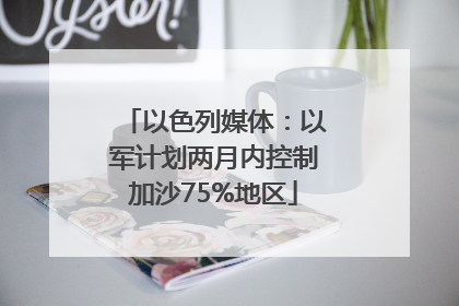 以色列媒体：以军计划两月内控制加沙75%地区