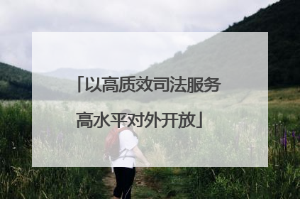 以高质效司法服务高水平对外开放