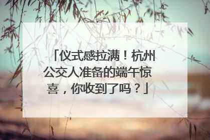 仪式感拉满！杭州公交人准备的端午惊喜，你收到了吗？