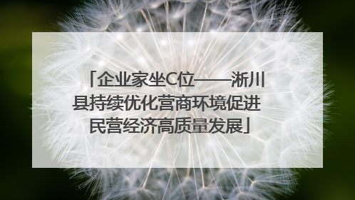 企业家坐C位——淅川县持续优化营商环境促进 民营经济高质量发展