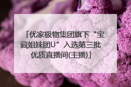 优家极物集团旗下“宝藏姐妹团U”入选第三批优质直播间(主播)