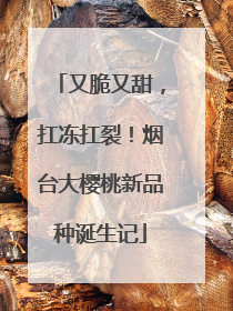 又脆又甜，扛冻扛裂！烟台大樱桃新品种诞生记