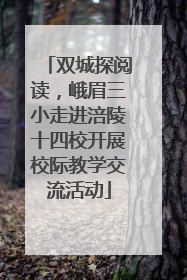 双城探阅读，峨眉三小走进涪陵十四校开展校际教学交流活动