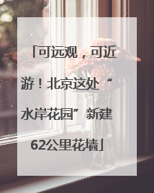 可远观，可近游！北京这处“水岸花园”新建62公里花墙