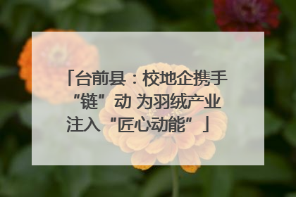 台前县：校地企携手“链”动 为羽绒产业注入“匠心动能”