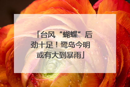 台风“蝴蝶”后劲十足！鹭岛今明或有大到暴雨