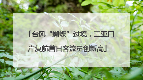 台风“蝴蝶”过境，三亚口岸复航首日客流量创新高