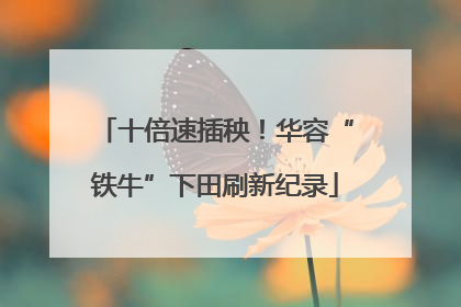 十倍速插秧！华容“铁牛”下田刷新纪录