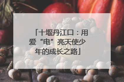 十堰丹江口：用爱“电”亮天使少年的成长之路