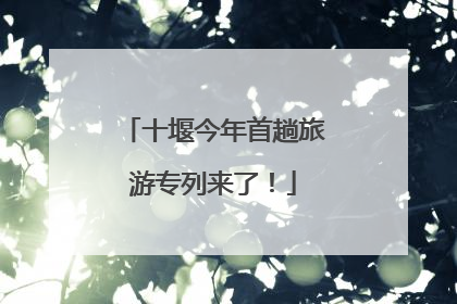 十堰今年首趟旅游专列来了！