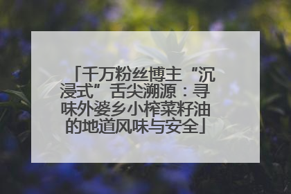 千万粉丝博主“沉浸式”舌尖溯源：寻味外婆乡小榨菜籽油的地道风味与安全