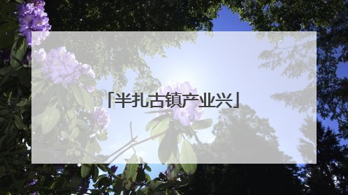 半扎古镇产业兴