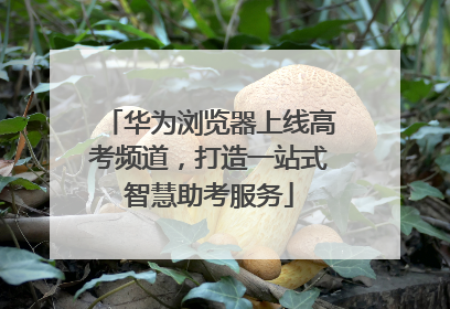 华为浏览器上线高考频道，打造一站式智慧助考服务