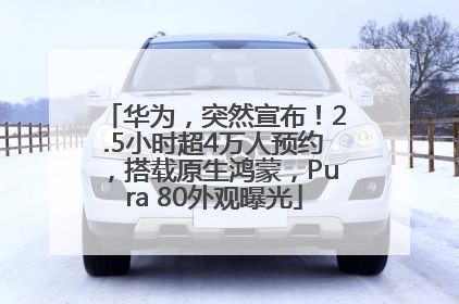 华为，突然宣布！2.5小时超4万人预约，搭载原生鸿蒙，Pura 80外观曝光