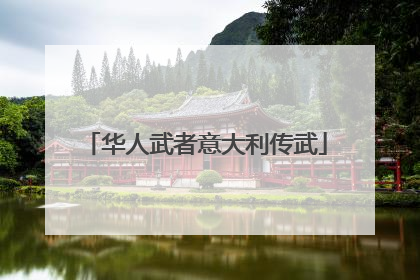 华人武者意大利传武