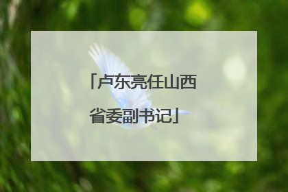 卢东亮任山西省委副书记