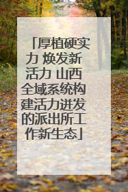 厚植硬实力 焕发新活力 山西全域系统构建活力迸发的派出所工作新生态