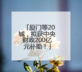 厦门等20城，拟获中央财政200亿元补助！
