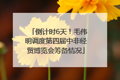 倒计时6天！毛伟明调度第四届中非经贸博览会筹备情况