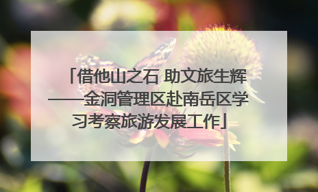 借他山之石 助文旅生辉——金洞管理区赴南岳区学习考察旅游发展工作
