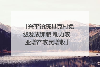 兴平镇统其克村免费发放钾肥 助力农业增产农民增收