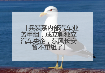 兵装系内部汽车业务重组，成立新独立汽车央企，东风长安暂不重组了