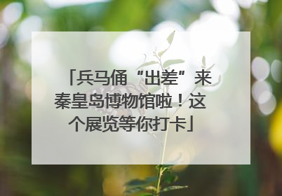 兵马俑“出差”来秦皇岛博物馆啦！这个展览等你打卡