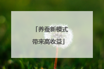 养蚕新模式带来高收益