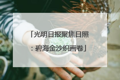 光明日报聚焦日照：碧海金沙织画卷