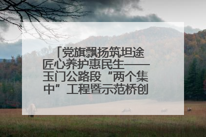 党旗飘扬筑坦途 匠心养护惠民生——玉门公路段“两个集中”工程暨示范桥创建项目圆满收官