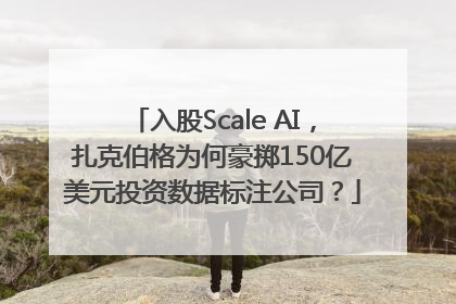 入股Scale AI，扎克伯格为何豪掷150亿美元投资数据标注公司？