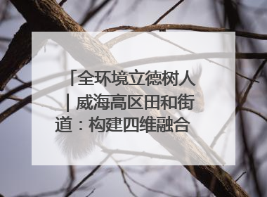 全环境立德树人｜威海高区田和街道：构建四维融合体系 绘就全环境立德树人新画卷