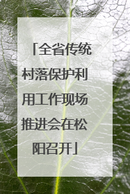 全省传统村落保护利用工作现场推进会在松阳召开
