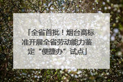 全省首批！烟台高标准开展全省劳动能力鉴定“便捷办”试点