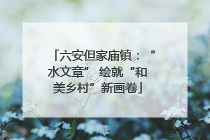 六安但家庙镇：“水文章” 绘就“和美乡村”新画卷