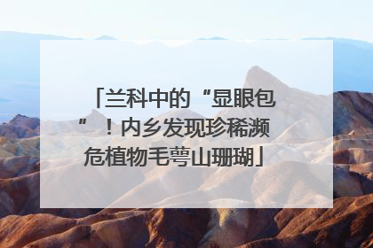 兰科中的“显眼包”！内乡发现珍稀濒危植物毛萼山珊瑚