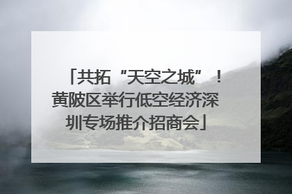共拓“天空之城”！黄陂区举行低空经济深圳专场推介招商会
