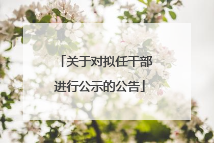 关于对拟任干部进行公示的公告
