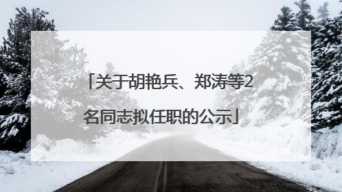 关于胡艳兵、郑涛等2名同志拟任职的公示