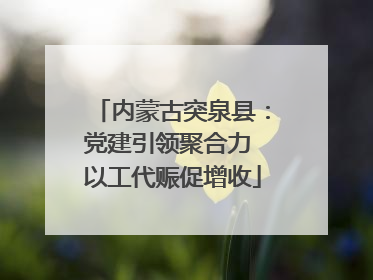 内蒙古突泉县：党建引领聚合力 以工代赈促增收