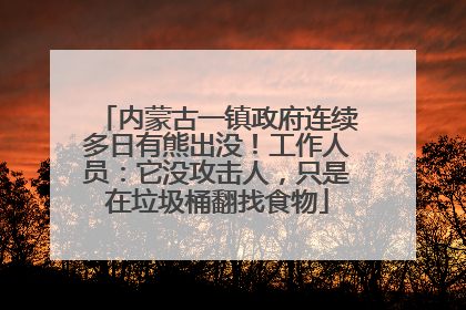 内蒙古一镇政府连续多日有熊出没！工作人员：它没攻击人，只是在垃圾桶翻找食物