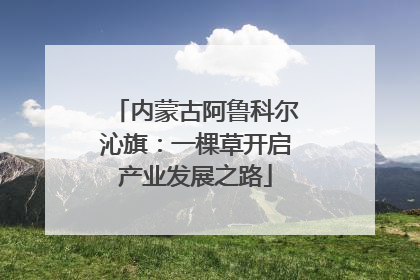 内蒙古阿鲁科尔沁旗：一棵草开启产业发展之路