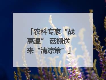 农科专家“战高温” 菇棚送来“清凉策”